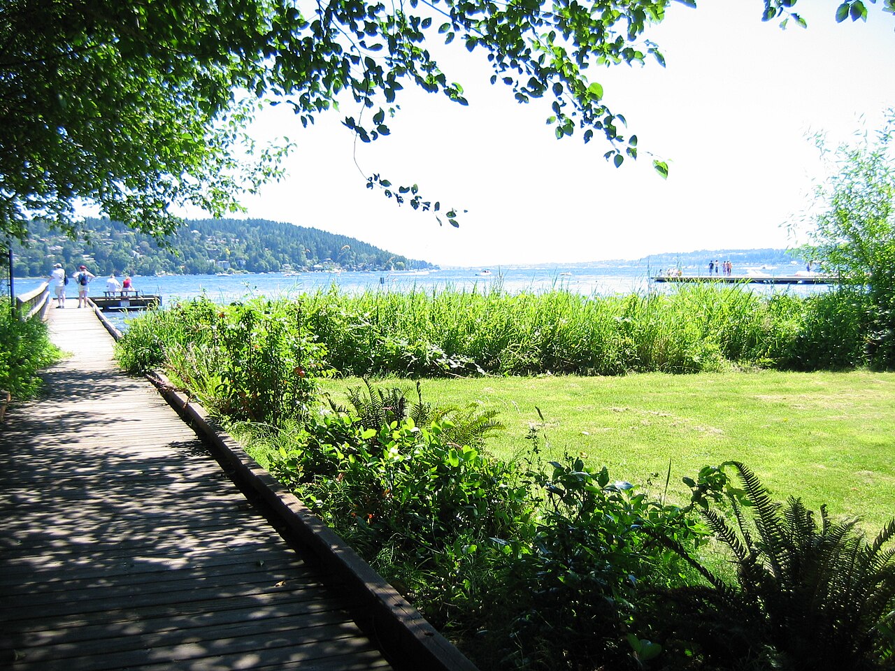 The boardwalk and Lake Washington shoreline at Lyon Creek Waterfront Preserve in Lake Forest Park