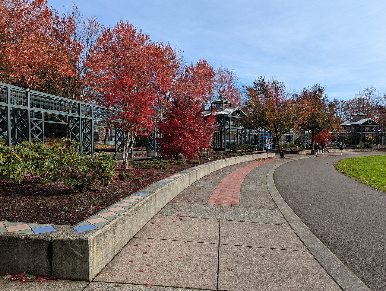 Autumn trees and the walking path at Wilmot Gateway Park in Woodinville