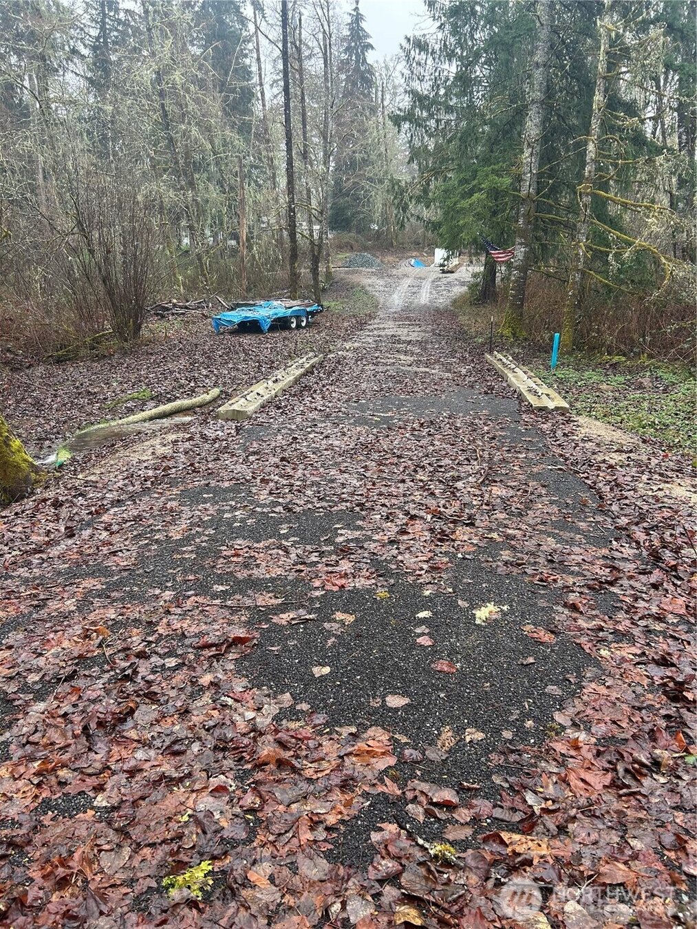 Wooded access lane through the property